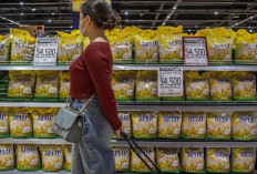 Stok Beras Melimpah, Mentan Prediksi Cadangan Bulog Tembus 6 Juta Ton dalam 3 Bulan