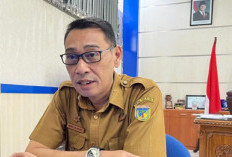 Pemprov Sulteng Gelar Program Berani Mudik Gratis Lebaran 2026