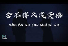 Bukan Cuma Melodi Indah! Ternyata Makna Lirik 'She Bu De You Mei Zi Ge' Ini yang Bikin Netizen Gak Bisa Move O