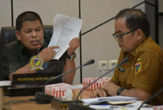 DPRD Sulteng Desak Penghentian Aktivitas PT IMNI, Soroti Ketidakpatuhan dan Dampak Lingkungan