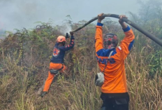Angin Kencang Picu Karhutla, 50 Hektare Lahan Poso Hangus