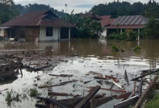 Dihantam Gelombang Tinggi Teluk Tomini, Tanggul Darurat Dipasang untuk Selamatkan Rumah Warga
