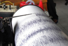 Buol Sulawesi Tengah Dihebohkan Gempa Magnitudo 2,7