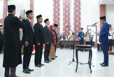 Pelantikan Komisioner KI Sulteng 2025–2029 dan Penguatan Agenda Keterbukaan Informasi