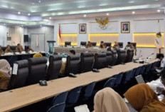 BPK Periksa Nikel Sulteng, Mengapa IMIP Ikut Disorot?