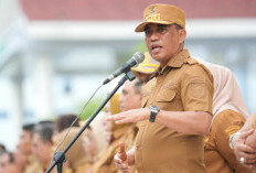 Anwar Hafid Tegas: Posbankum Harus Hidup, ASN Positif Narkoba Akan Dirumahkan!