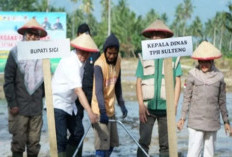 Tanam Padi Perdana di Sawah Baru, Pemkab Sigi Dukung Swasembada Pangan