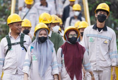 IMIP Serap 97 Ribu Pekerja, Ekonomi Sulteng Ikut Terdongkrak