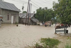 Banjir Terjang Donggala, Ratusan Rumah di 10 Desa Kecamatan Sirenja Terendam