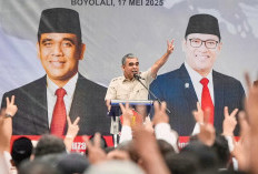 Muzani Serukan Hentikan Perang AS-Israel vs Iran Demi Idul Fitri Damai